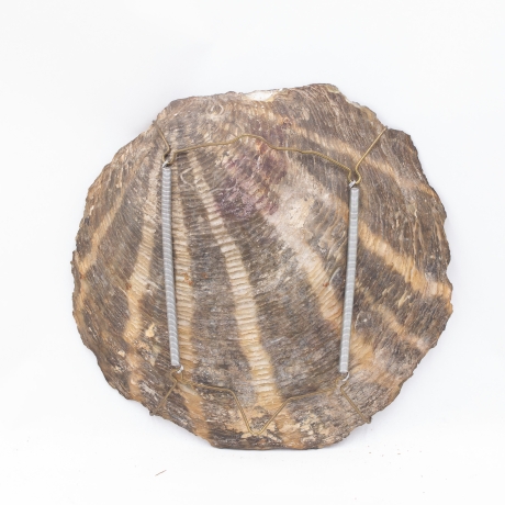 Conchiglia dipinta di Lorenzo Delleani – 1894 image 9