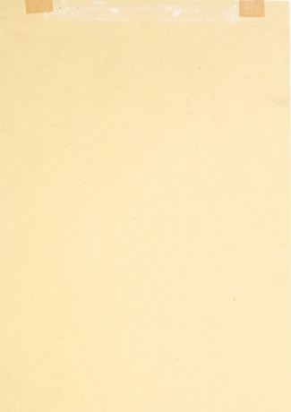 Filippo De Pisis, "Ritratto di giovane, Angelo",1941 image 7