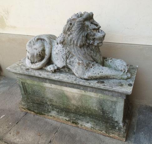 Scultura Leone in Cemento da Esterno del '900